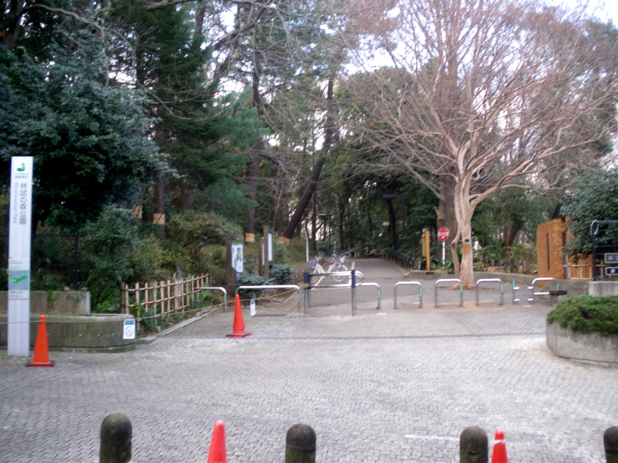 Rinshi-No-Mori Park