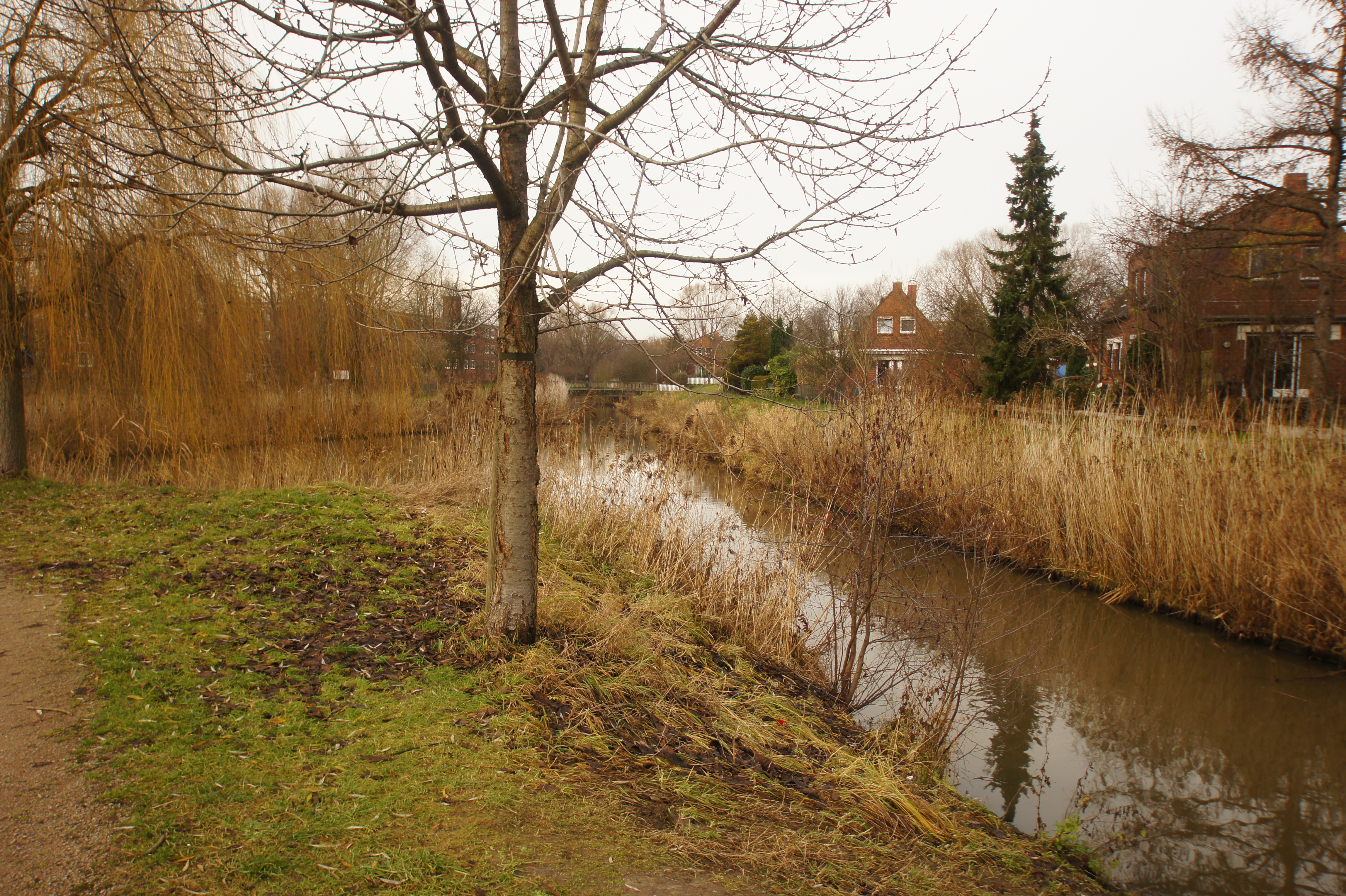 Finkenwerder Fleet