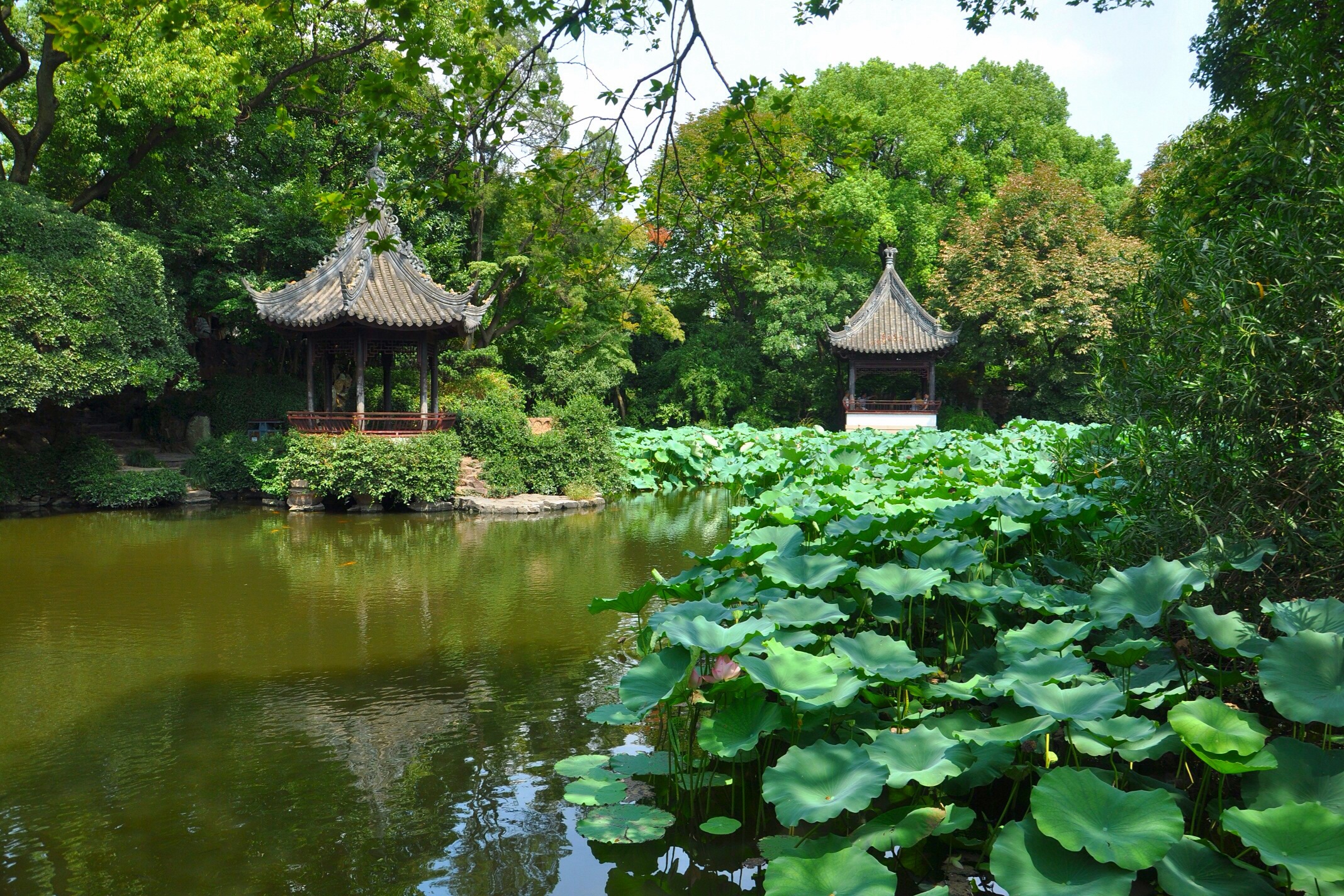Jardin Qushui