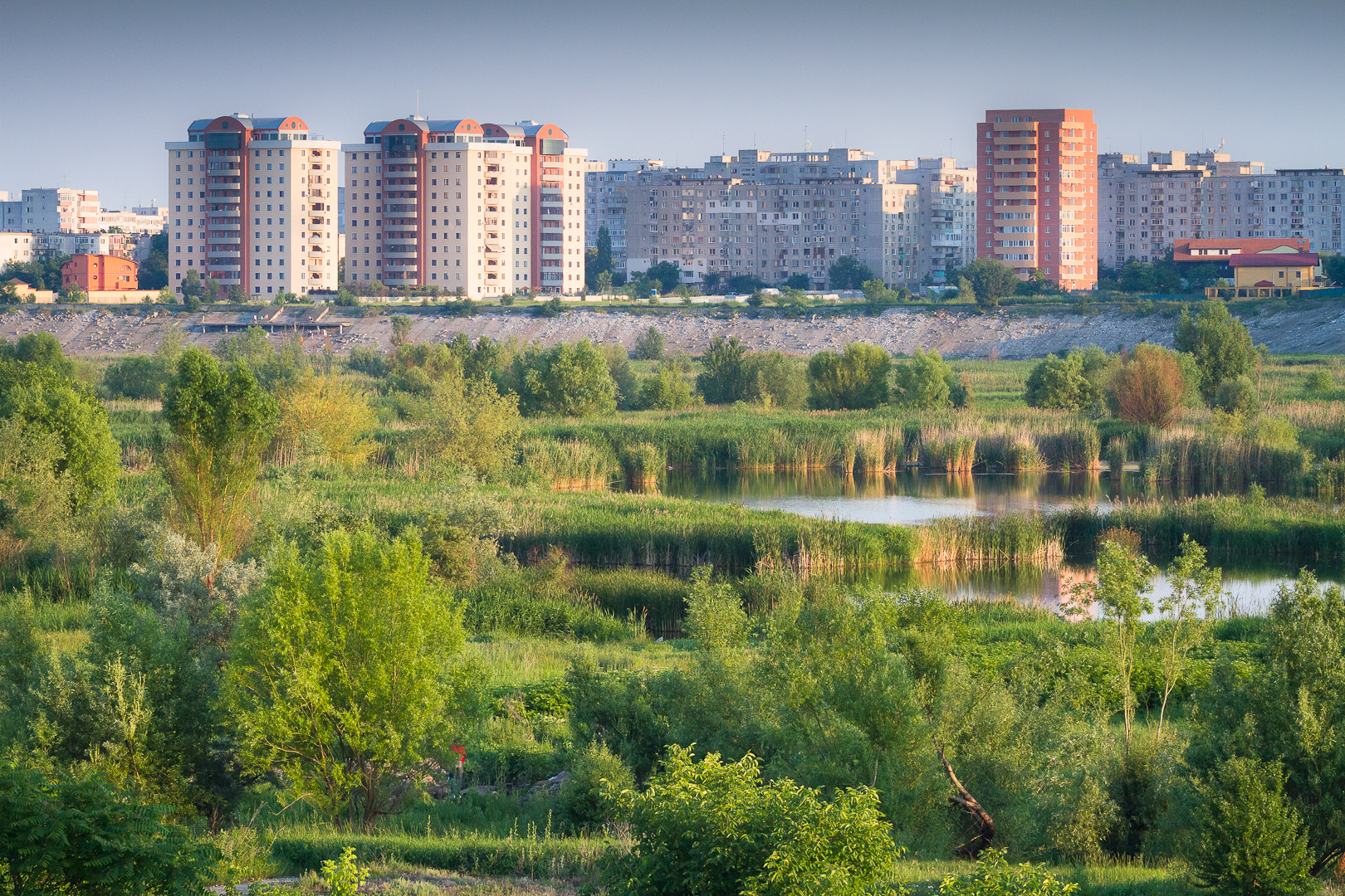 Văcărești Nature Park