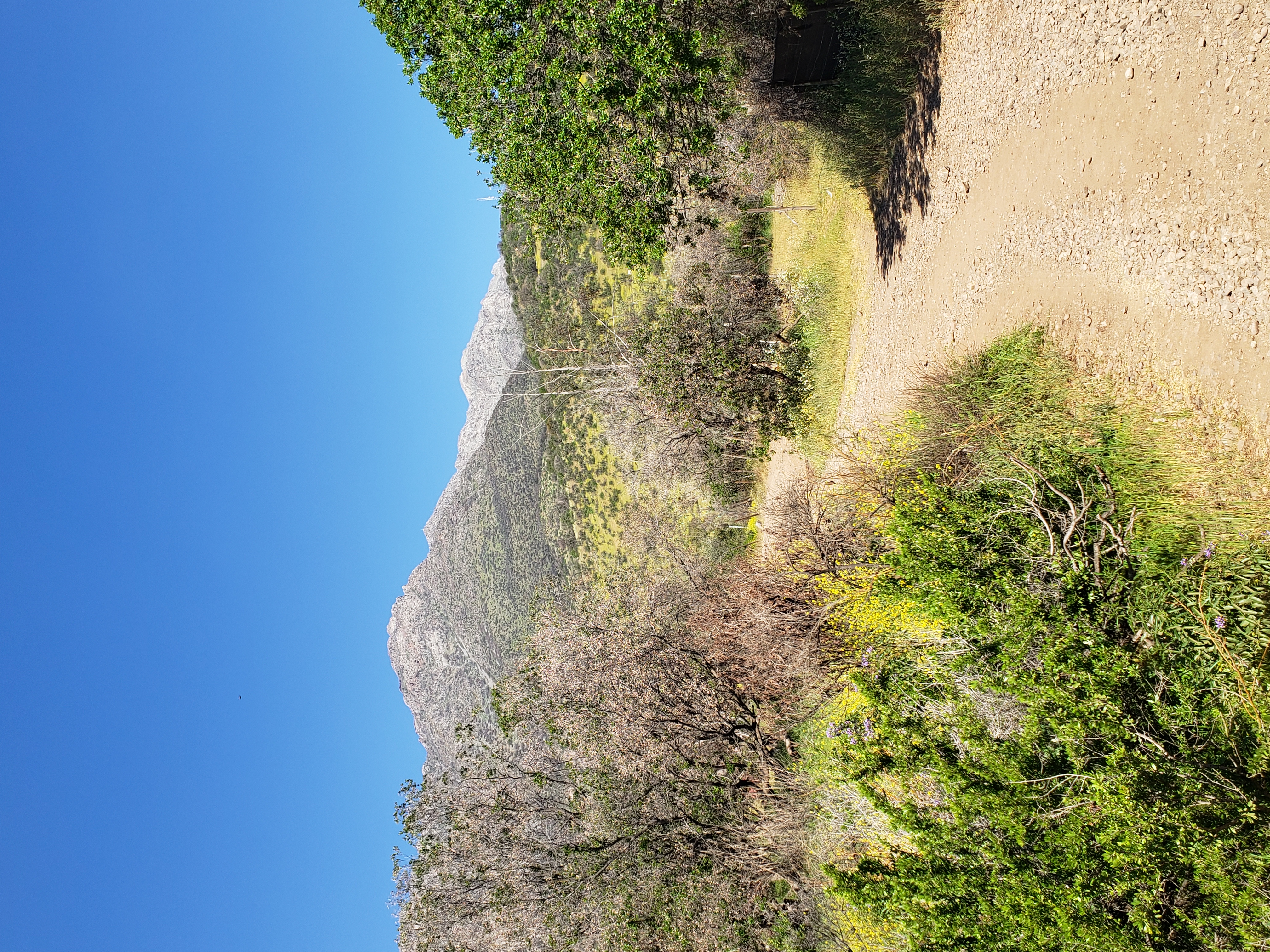 Parque Mahuida