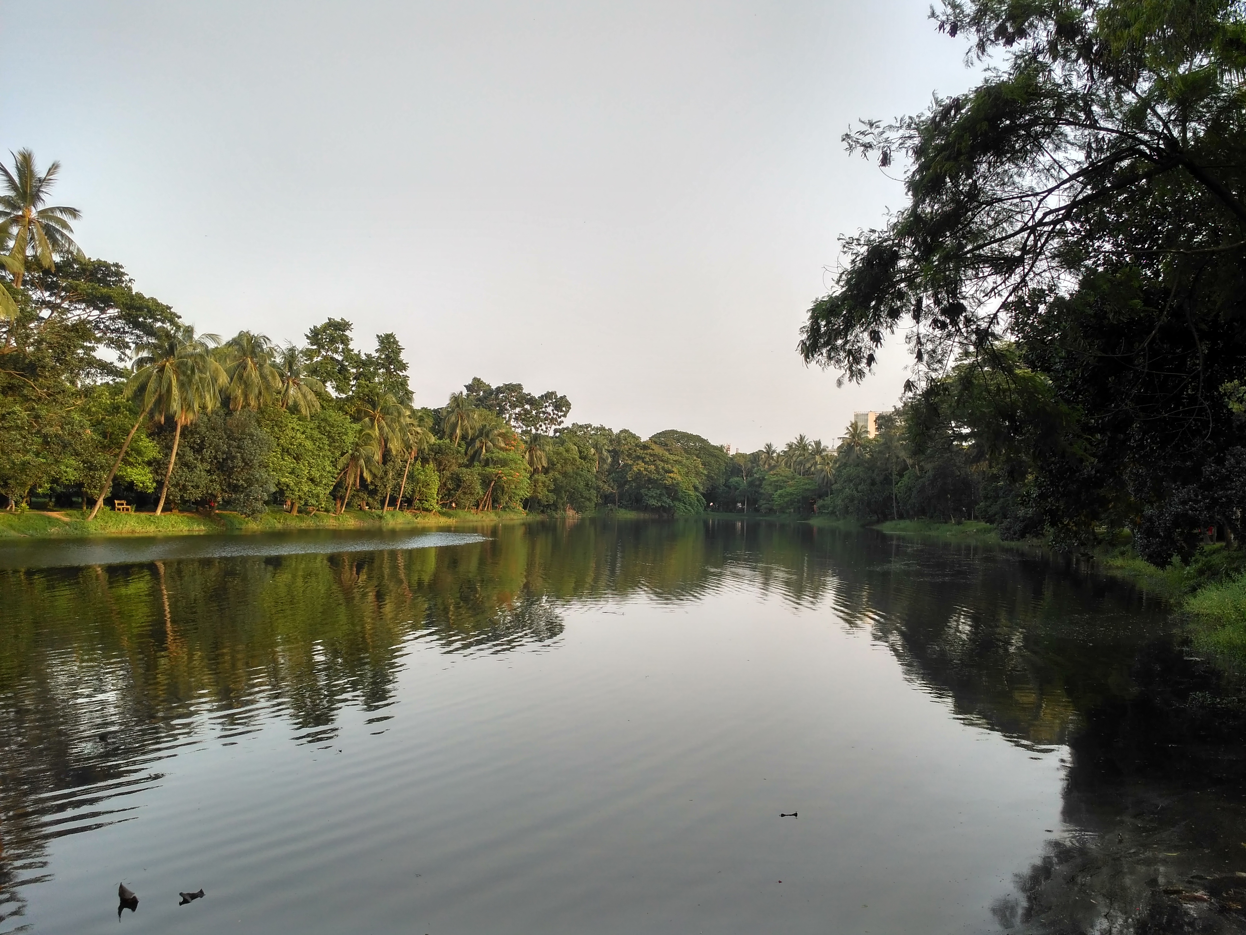 Ramna-See