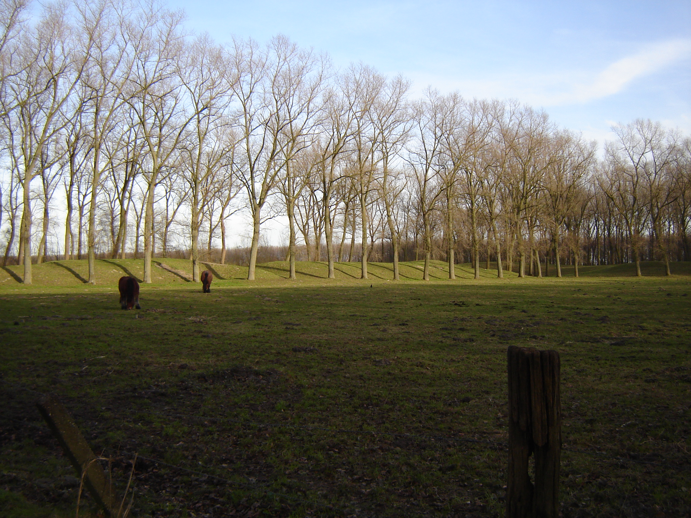 Fort Van Beieren