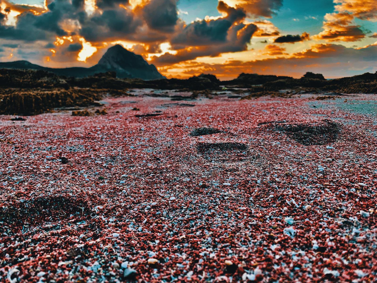 Naturreservat Monte Cofano