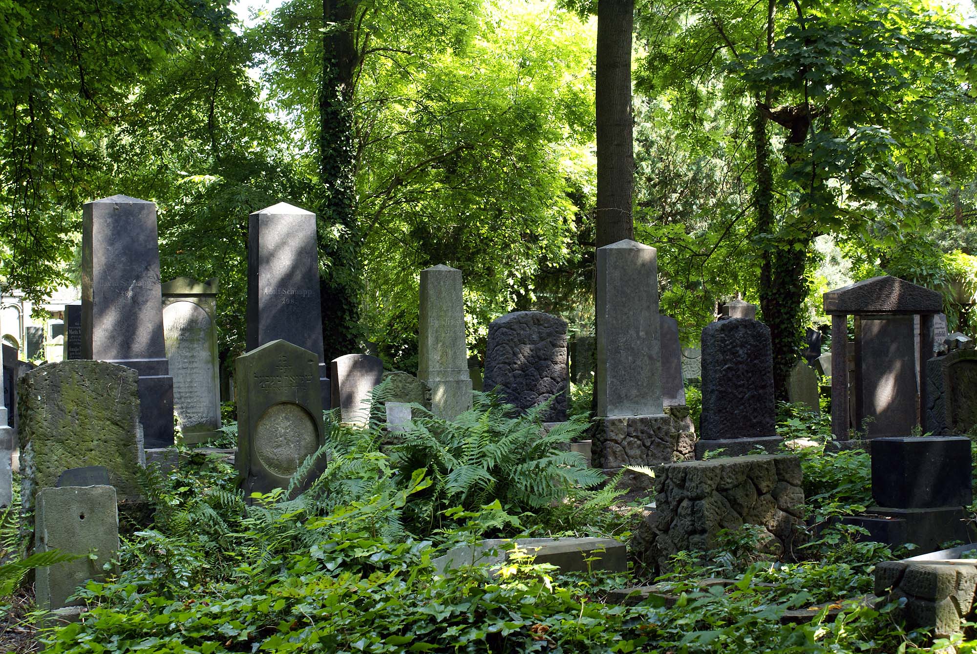 Antiguo Cementerio Judío De Breslavia