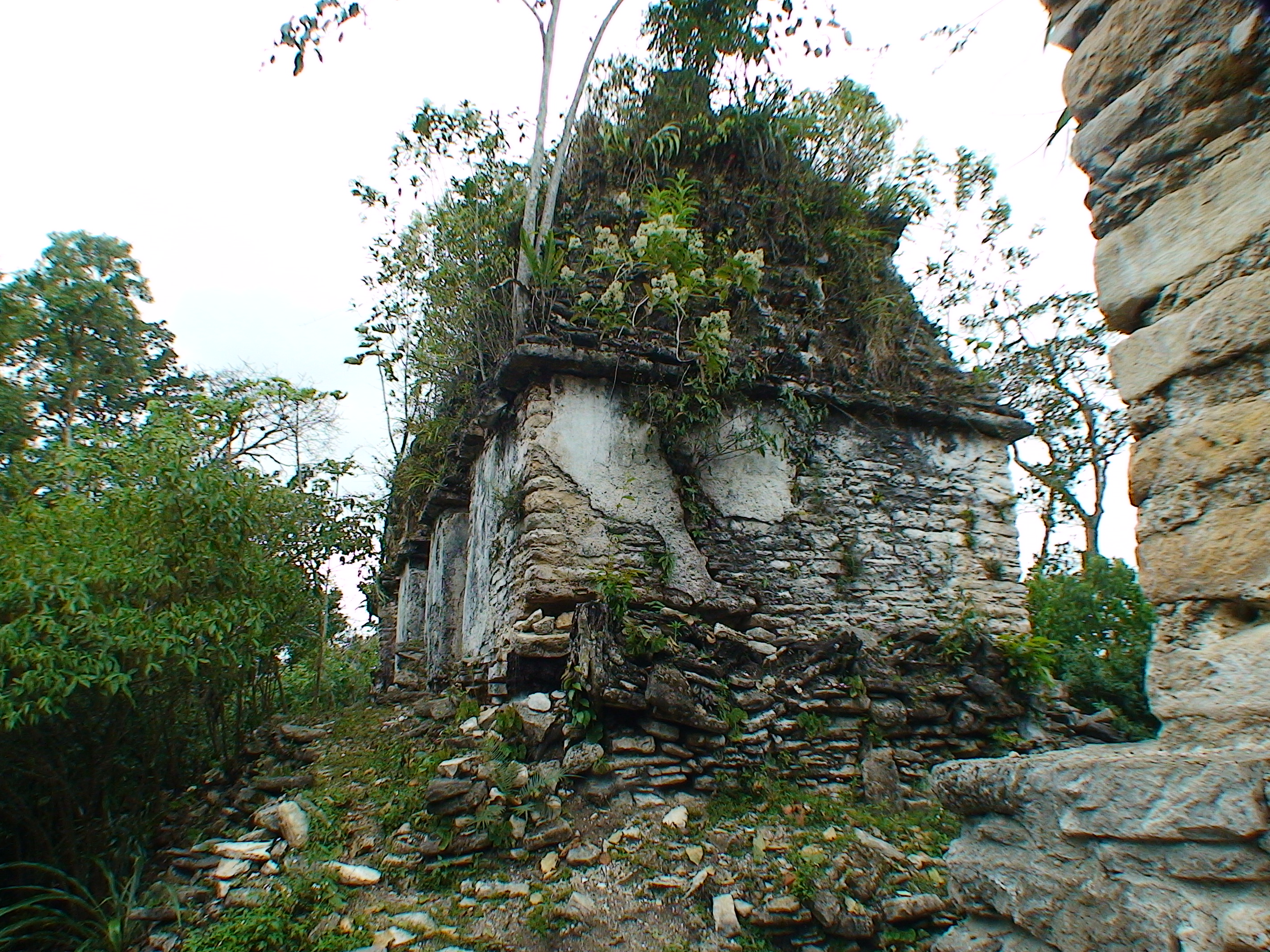 Plan De Ayutla