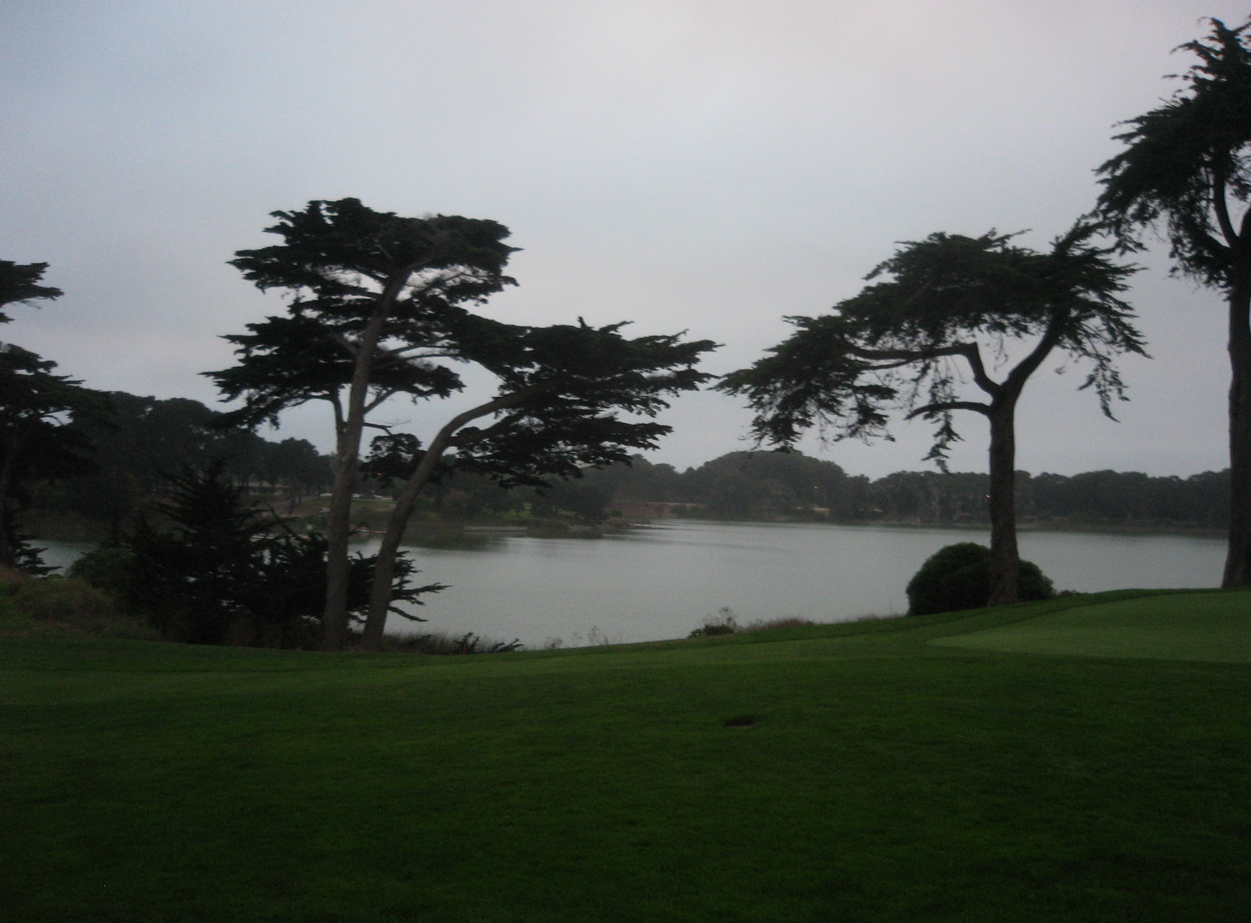 Tpc Harding Park