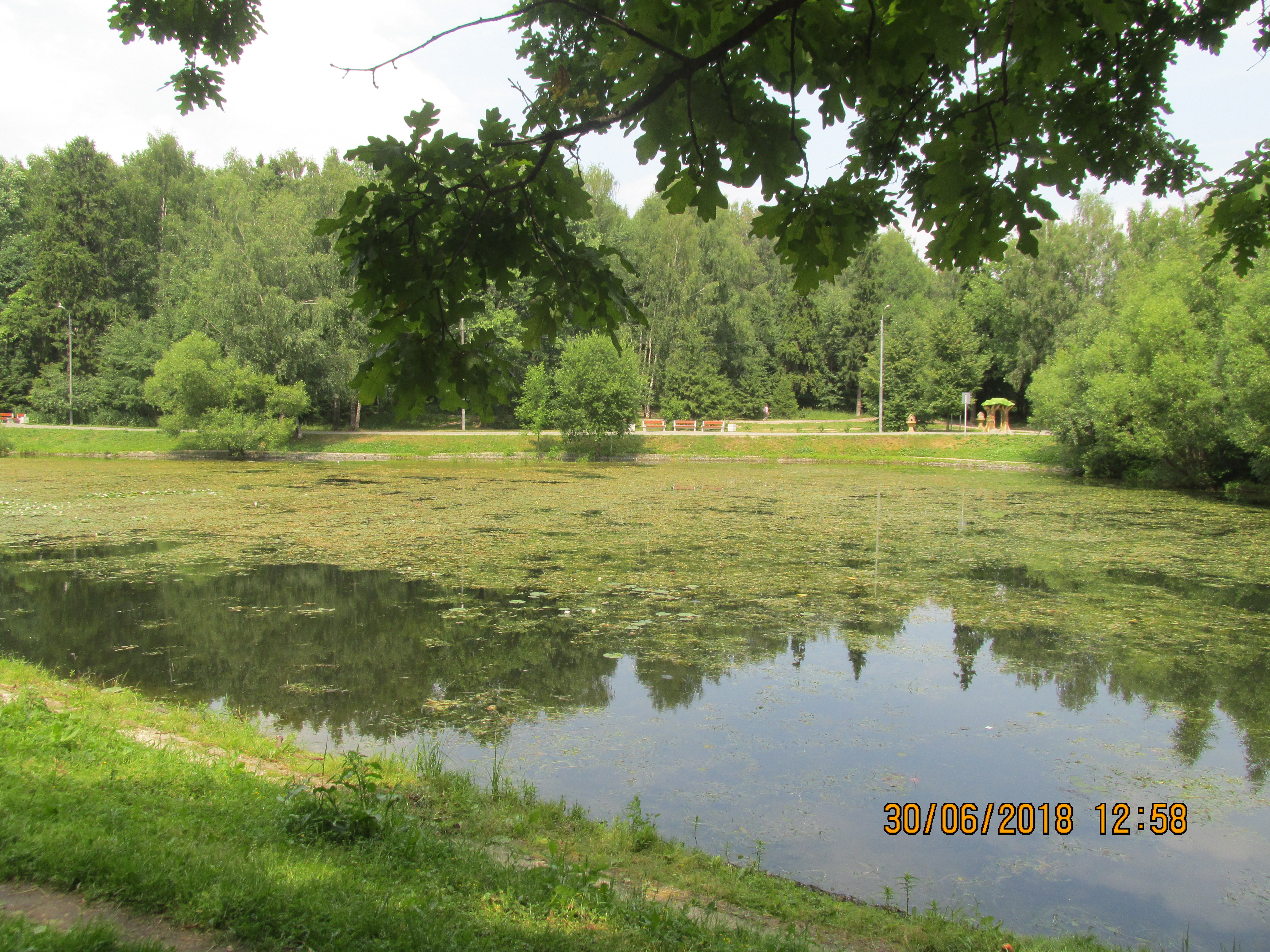 Lianozovsky Forest Park