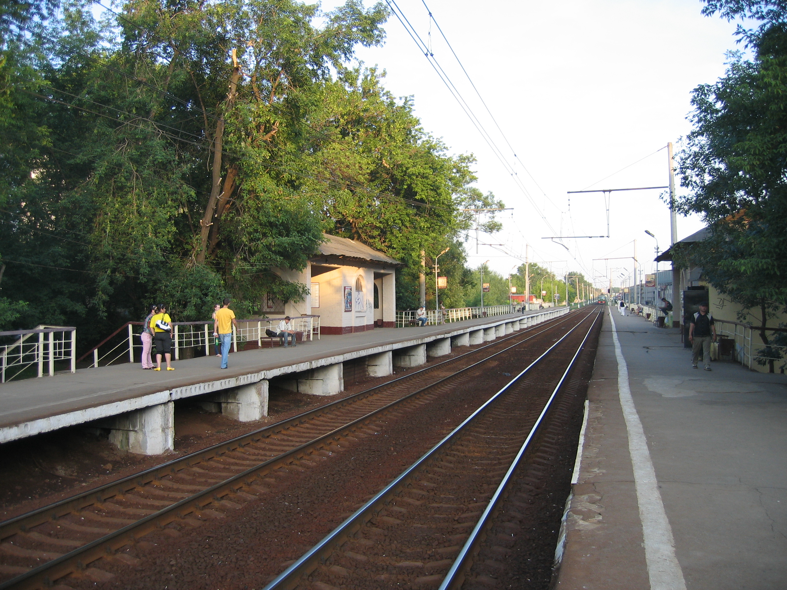 Kalitniki