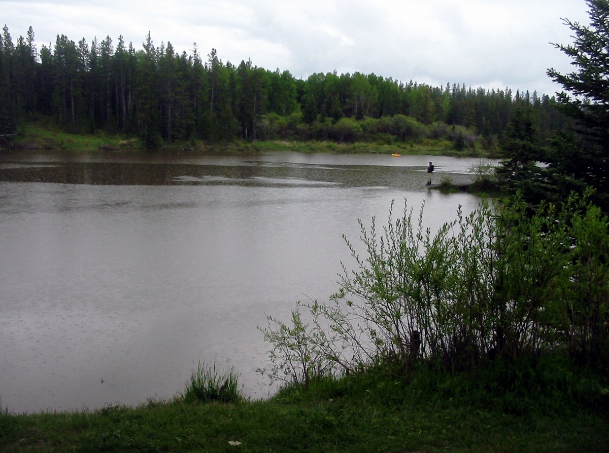 Parco Edworthy