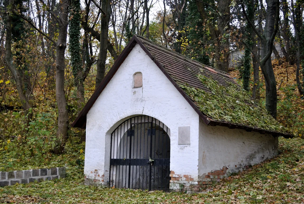 King Bela's Well