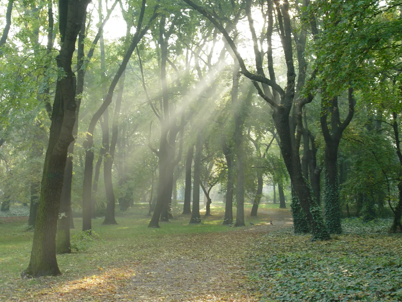 People's Park
