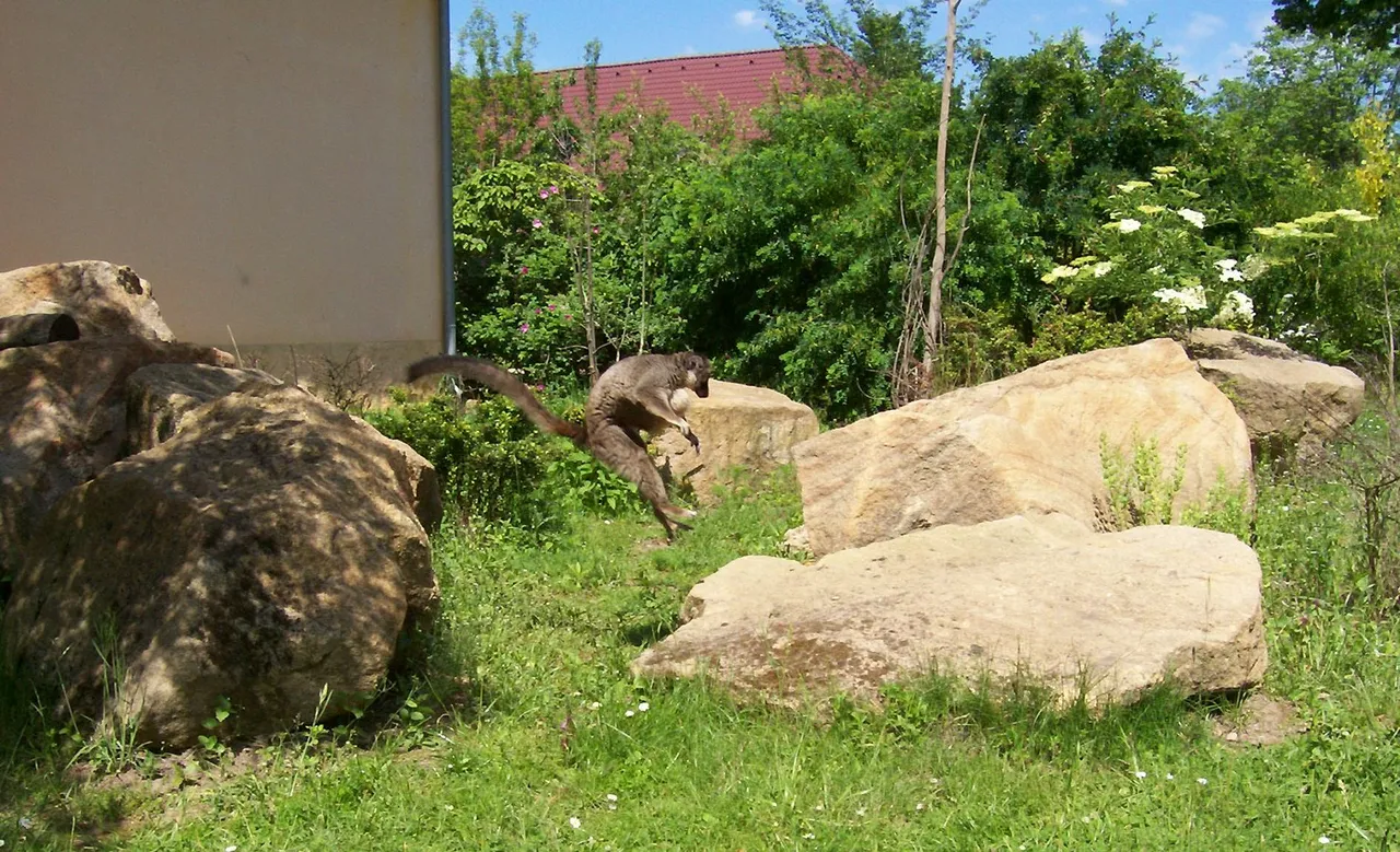ピルゼン動物園