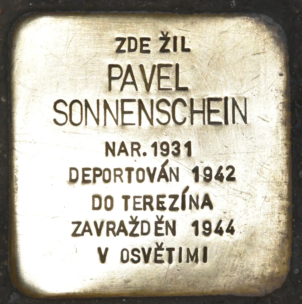 献给帕维尔·索嫩沙因的Stolperstein
