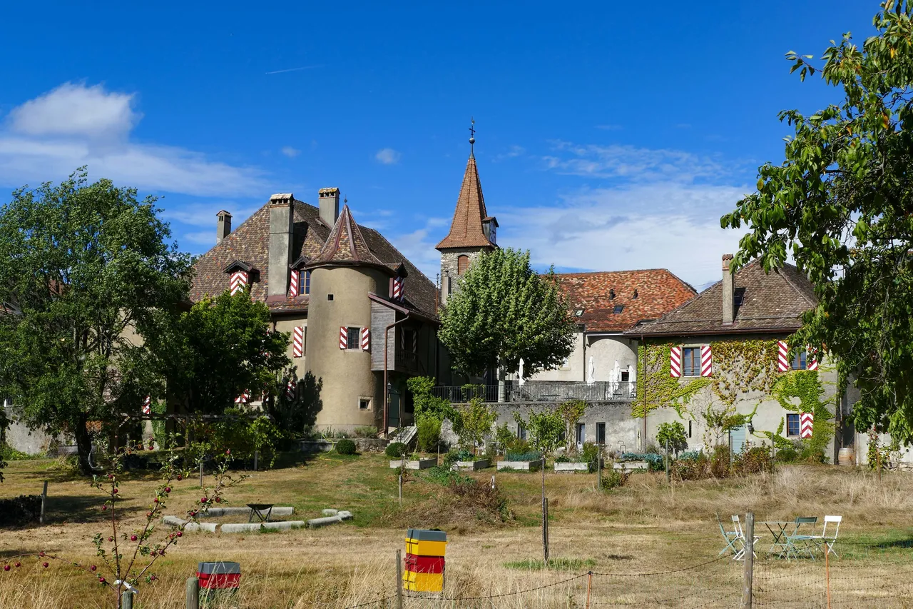 Maison De Rochefort