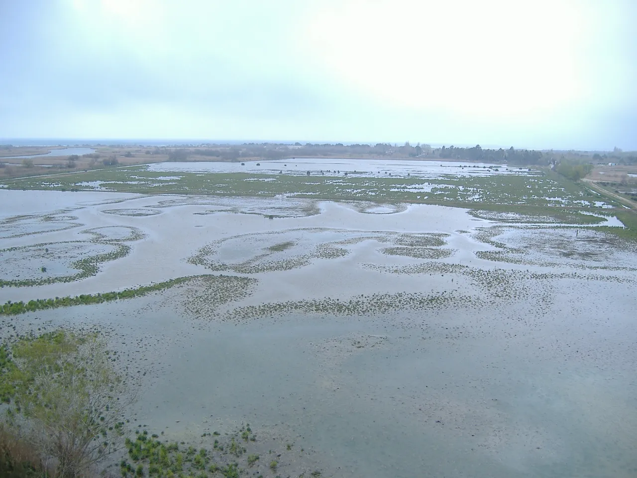 Aiguamolls De L'Empordà