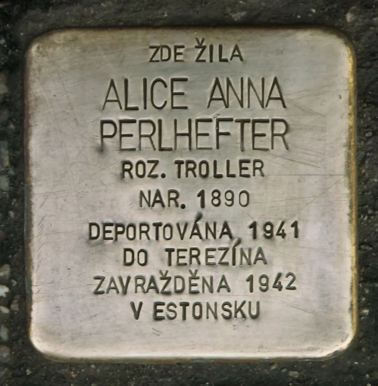 献给爱丽丝·安娜·佩尔赫夫特的Stolperstein