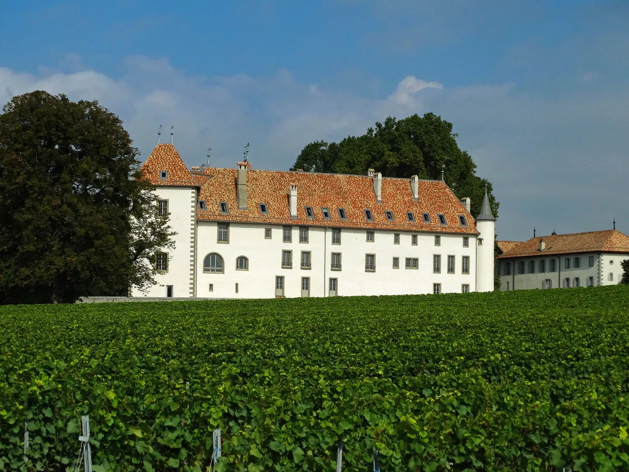 Allaman Castle