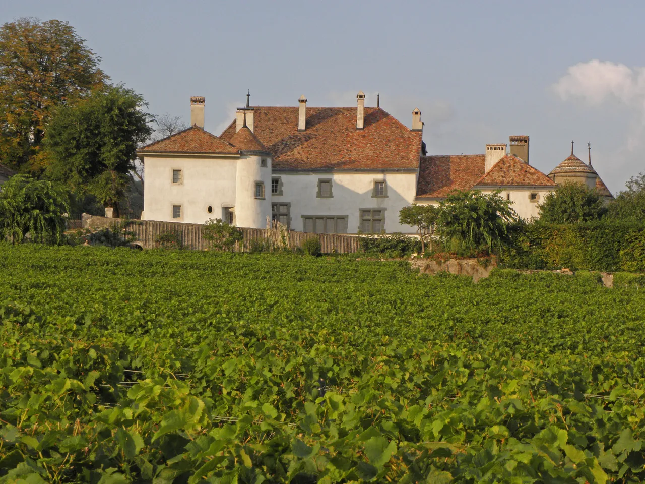 Château Du Rosay, Bursins