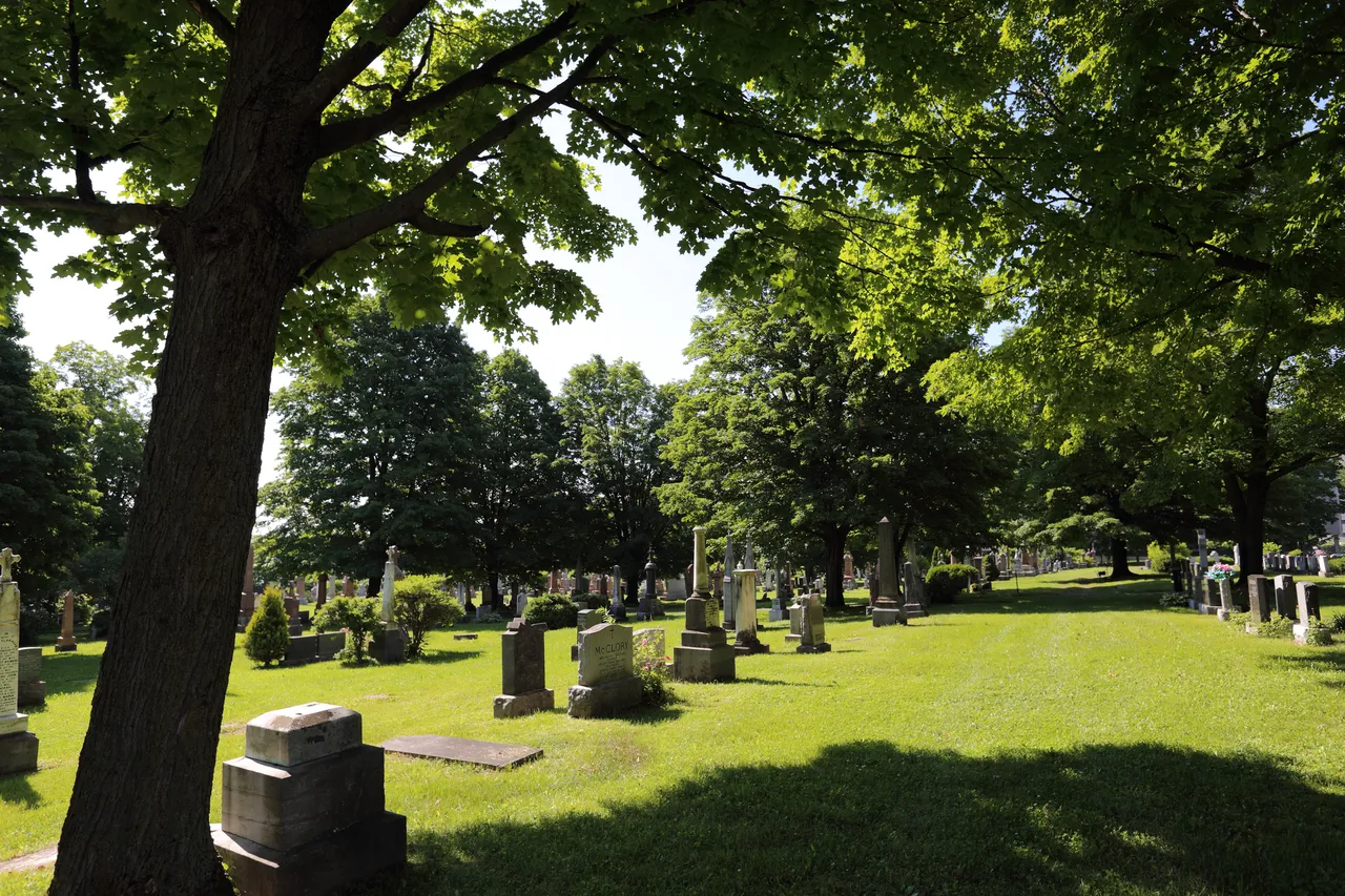 Saint Patrick's Cemetery