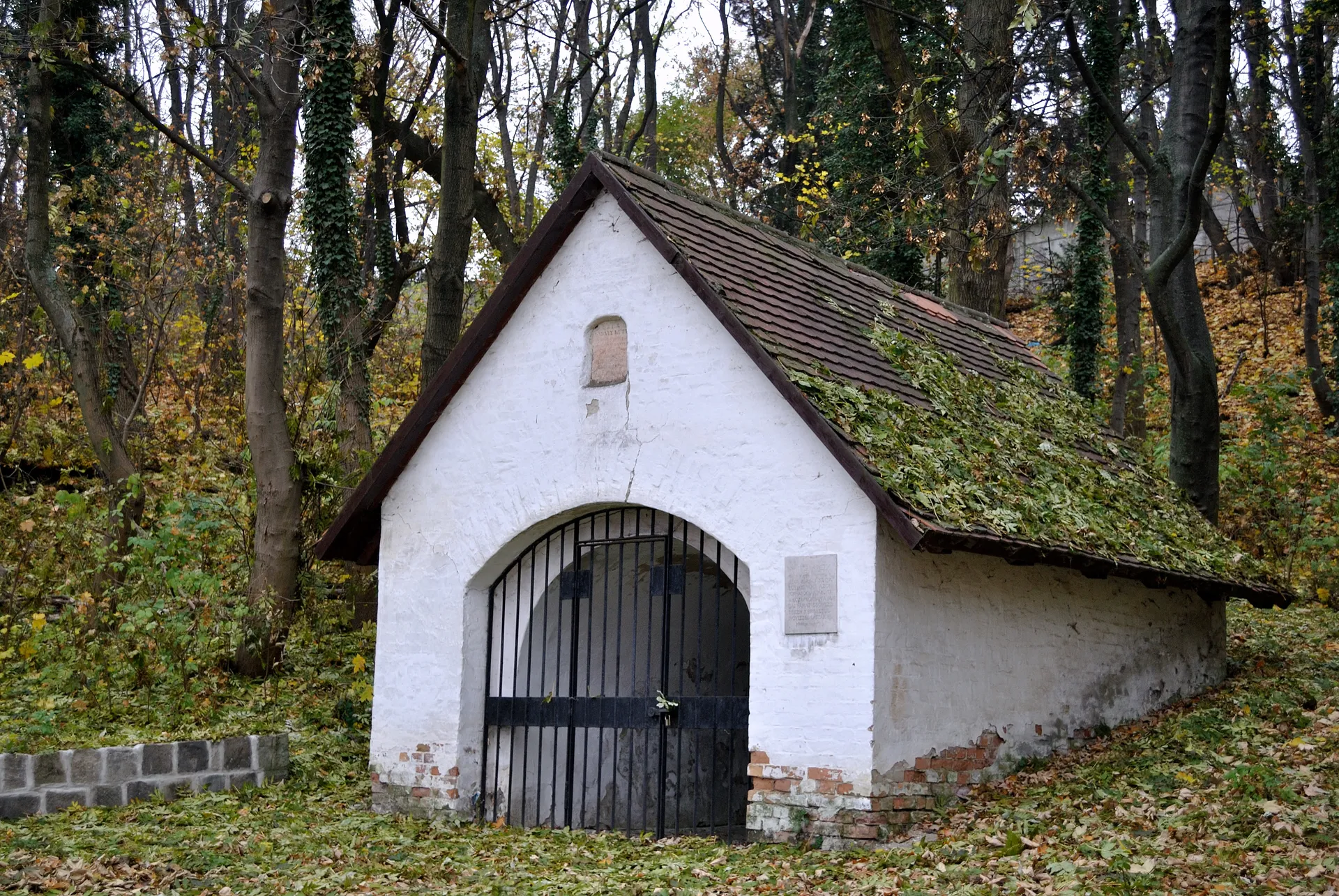King Bela's Well