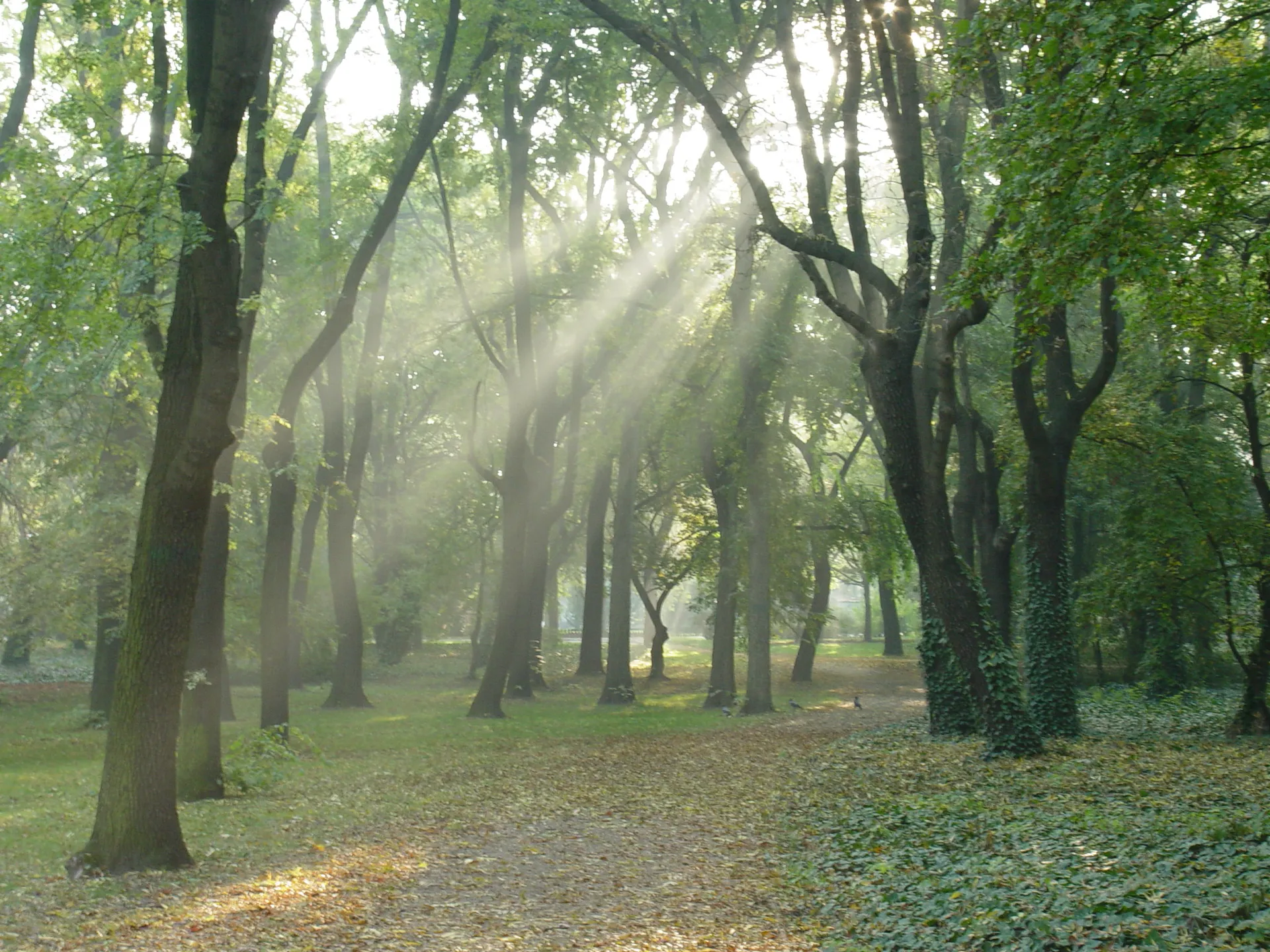 People's Park