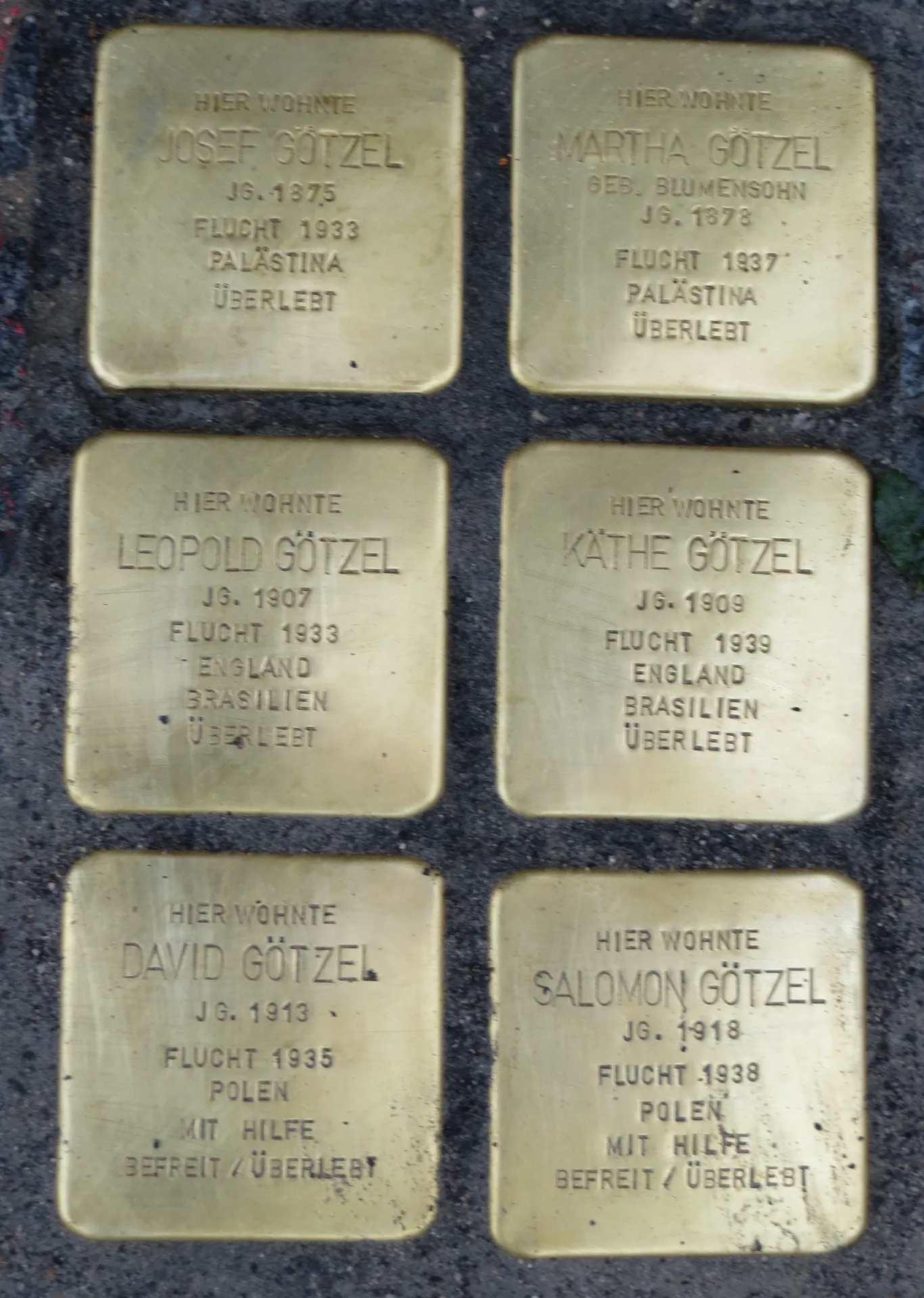 献给玛尔塔·戈策尔的Stolperstein