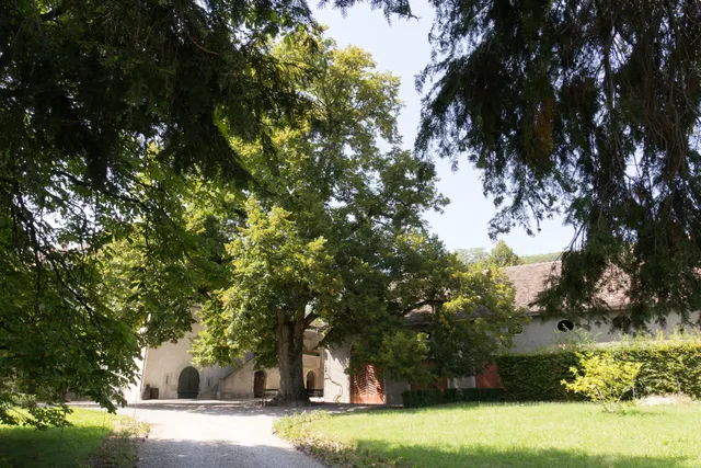 Château Avec Dépendances Viticoles