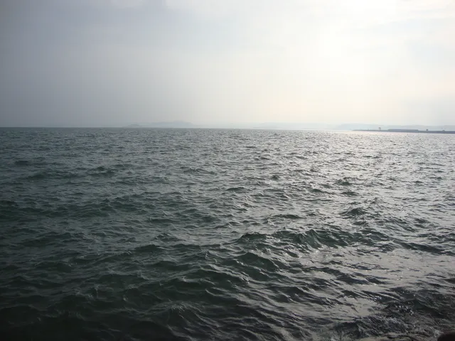 Represa de Bargi