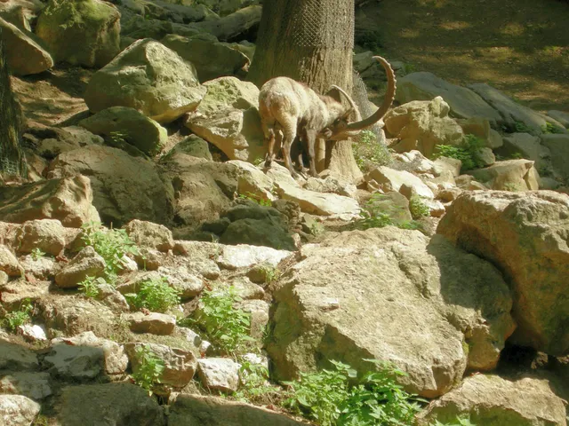 盧布爾雅那動物園