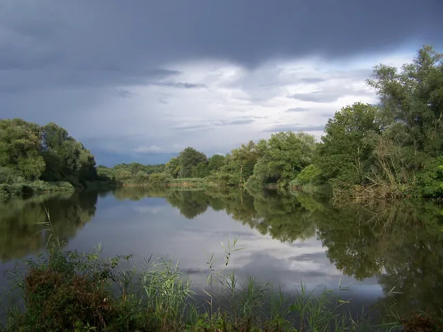 Enkheimer Ried