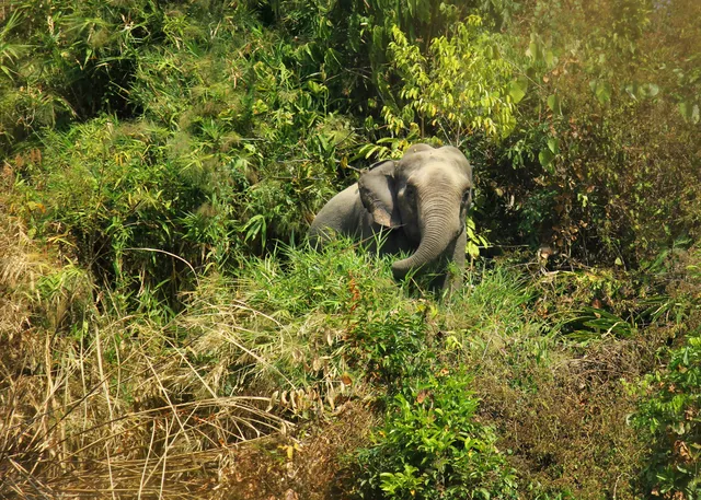 Parque Nacional Sheikh Jamal Inani