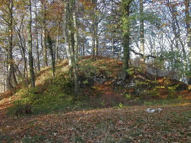 Ruins of Mont-le-Vieux Castle